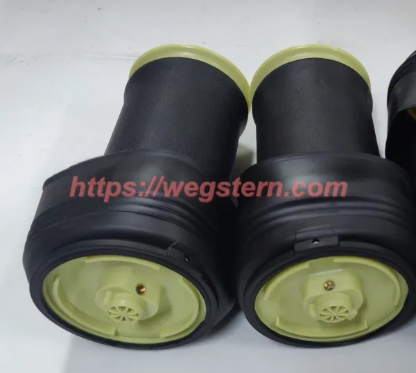 37126790078 371226790081 37126790082 37126790083 Hot Selling Nice Quality Rear Air Spring for BMW X5 E70 X6 E71 E72 Rear LH & RH 2007-2012 photo-2