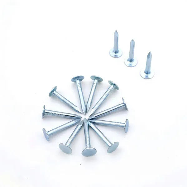 1“ Galvanized Roofing Clout Nails 1kg Box - Standard Compliant for Professional Roofing photo-2