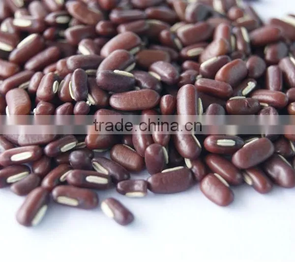 Red Bamboo Beans