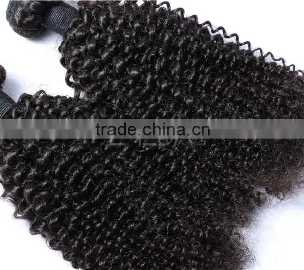 Kinky Twists Peruvian Virgin Hair, Afro Kinky Curly Human Hair Weave Supplier's Choice photo-5