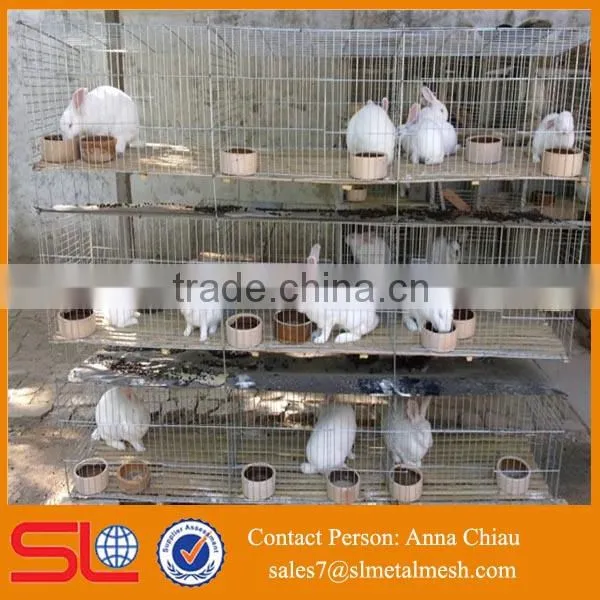 Industrial Cage for Rabbit/ Welded Rabbit Cage Wire Mesh / Rabbit Cage in Kenya Farm photo-2