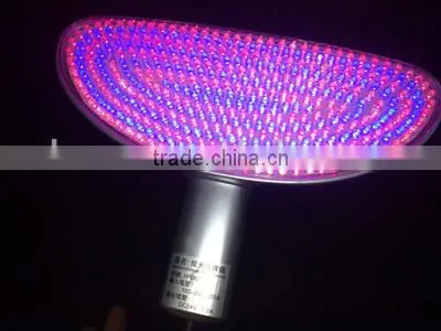 Soft Photon Skin Rejuvenation Beauty Equipment photo-4