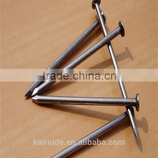 Common Wire Nail/common Iron Nail Factory photo-5