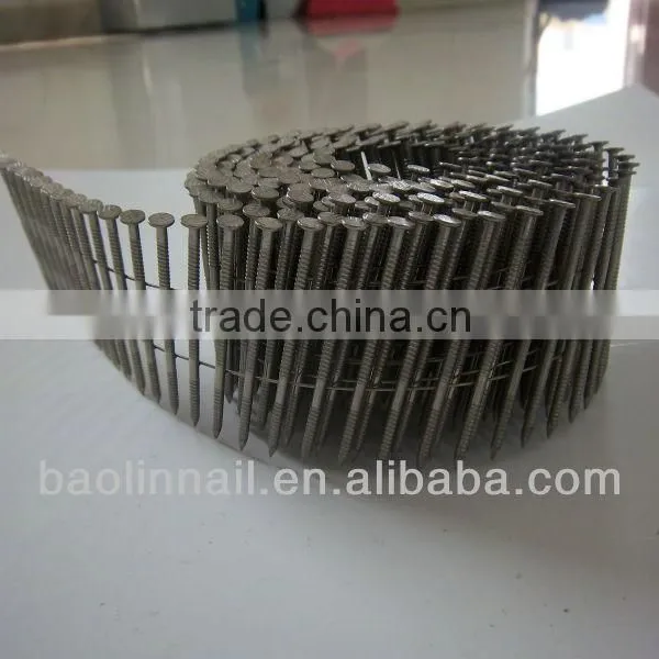 Stainless Steel Coil Nails