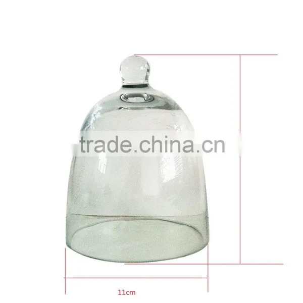 Glass Lamp Shade /Covers Domes
