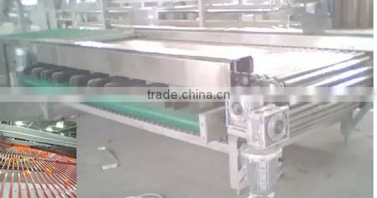 Stainless Steel Fruit Sorting Machine photo-4