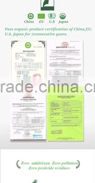 Weight Loss Green Tea/Yijian 100% Organic Green Tea photo-5