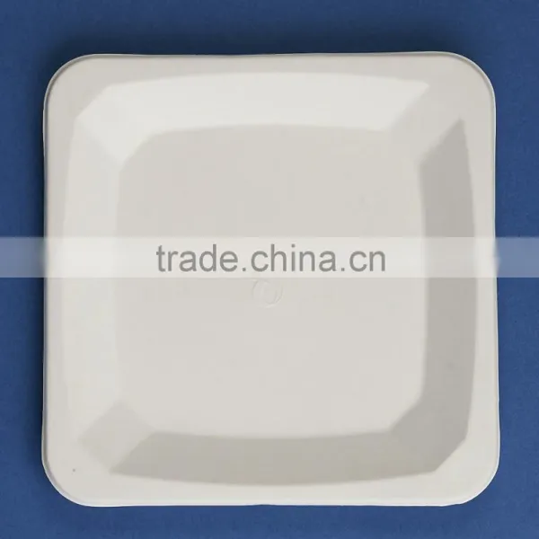 PL-08-S 8.25 Inches Different Shapes Disposable Flate Square Shape Sugarcane Dinner Plates photo-3