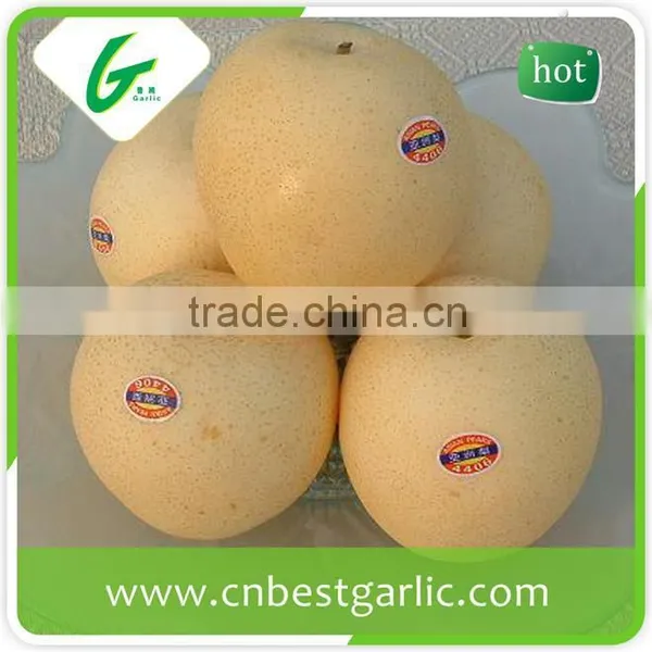 Chinese Crystal Bulk Fresh Crown Pear photo-4