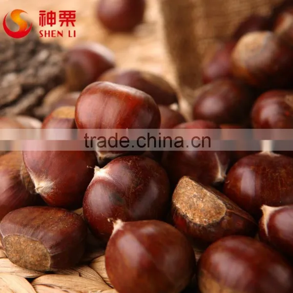 New Crop Fresh Chestnuts---TAIAN Chestnuts Origin From Shandong photo-6