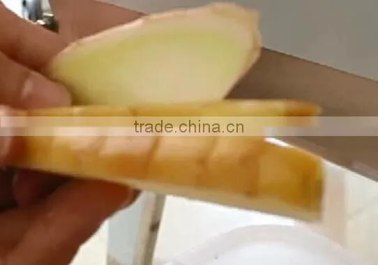 FC-306 Effective Vegetable Celery Cucumber Cutting Machine photo-5