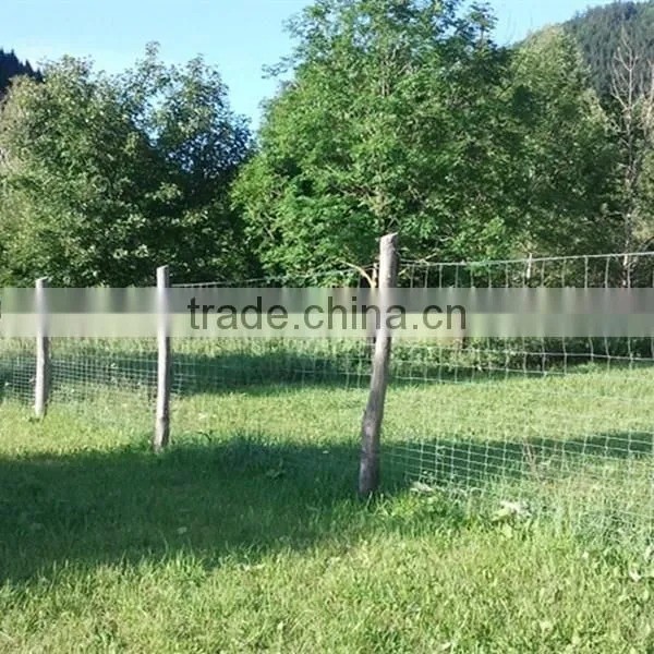 Safety Field Fence( Factory Exporter) photo-5