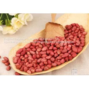 Pre - pressing and Leaching Process of Peanut