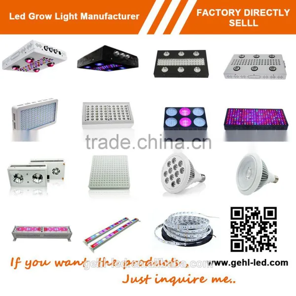 Low Price Aaa Quality High Power Hello Led Growing Light From Shenzhen Factory photo-6