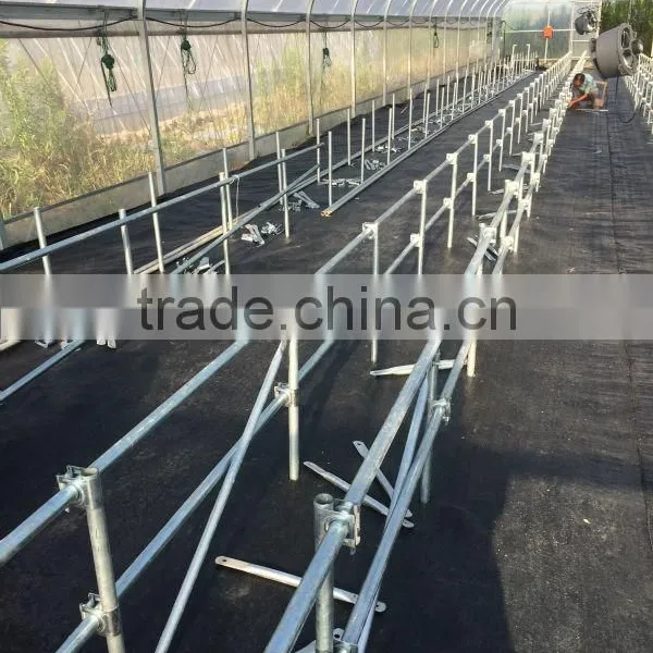 Commercial Greenhouse for Sale Used Commercial Greenhouses photo-2