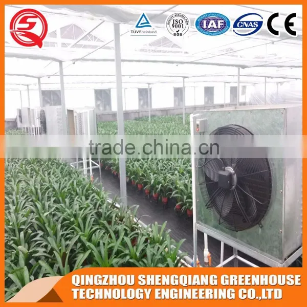 Glass Greenhouse With the System You Need Made in China photo-4