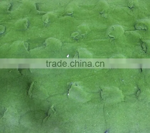 Artificial Moss Grass Wall for Decoration Real Artificial Moss Mat photo-4