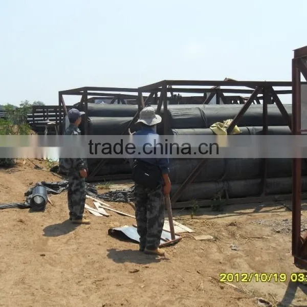 High Tearing Resistance Geomembrane Production photo-3