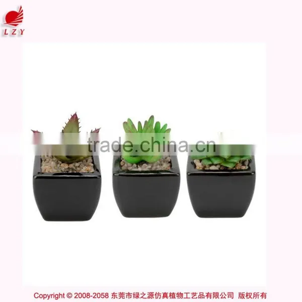 Wholesale Mini Succulent Potted Artificial Mini Aloe Green Aloe Artificial Plant photo-3