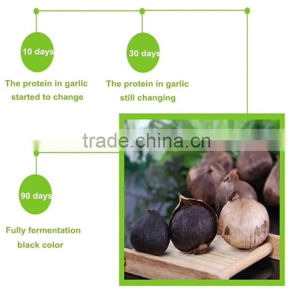Healthy and Safe Product Black Garlic Expoeters in China photo-3