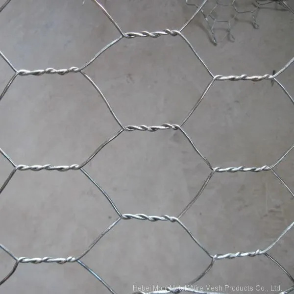 Factory Price Woven High Tensile Strength Gabion Mesh for Sale photo-3