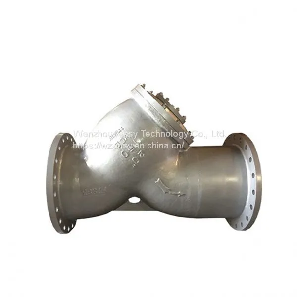 ANSI CL150 Y-type SS Flange Strainer
