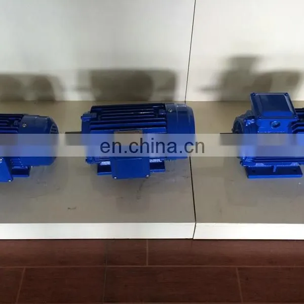 THREE PHASE ELECTRIC MOTOR photo-3