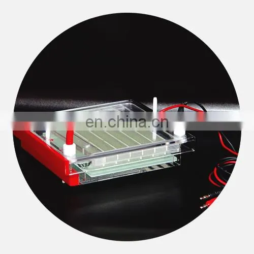 Popular DYCP-44N Quick Running Electrophoresis Cell for Identifying and Separating DNA photo-3
