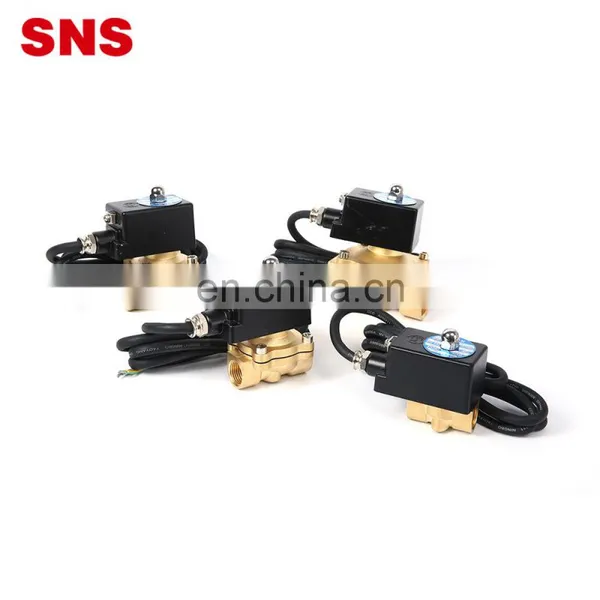 SNS 2WF250-25 110V Explosion-proof Normally Closed Pneumatic Large Diameter Coil Brass Solenoid Valve photo-2