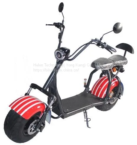 Factory EEC/Coc Electric Mobility Bike Scooter Folding Motor Electric Scooter photo-5