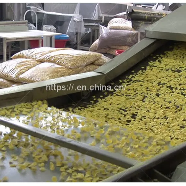 China Machines Supplier Extruded Instant Corn Flakes Food Makes Machinery/Production Line photo-4