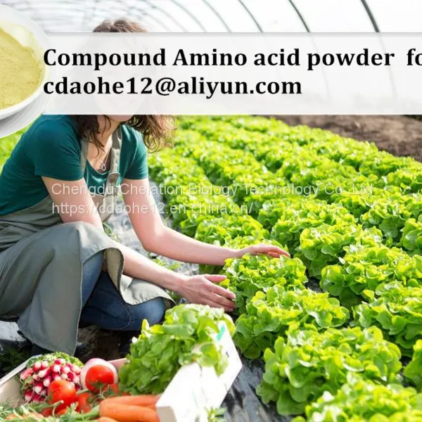 Chelated Calcium Magnesium Zinc Boron Molybdenum Organic Foliar Fruit Fertilizer photo-4
