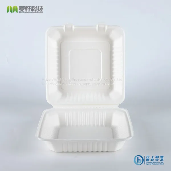 PFAS FREE Disposable Biodegradable 9*9 Take Away Sugarcane Bagasse Clamshell Container photo-2