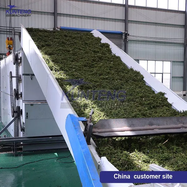 Continuous Hemp Leaves Flower Dryer Drying Machine Equipment EPC photo-3