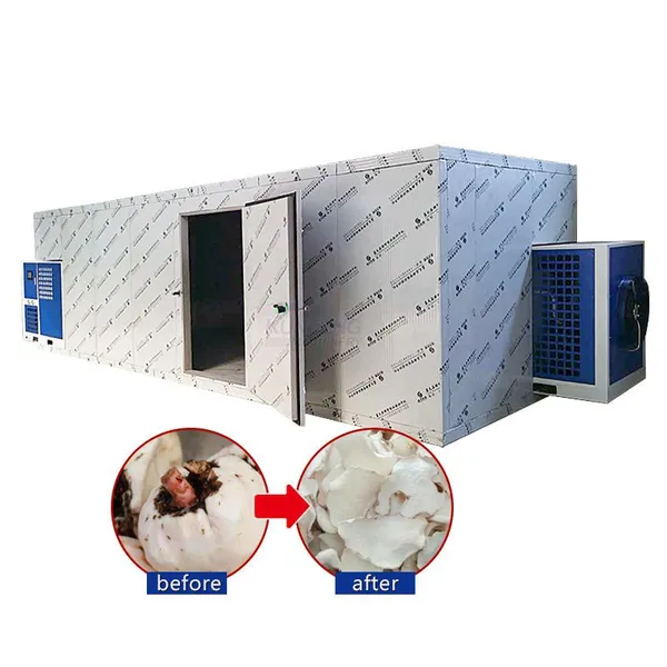 Energy-saving Fruits Drying Machine Strawberry Processing Dryer