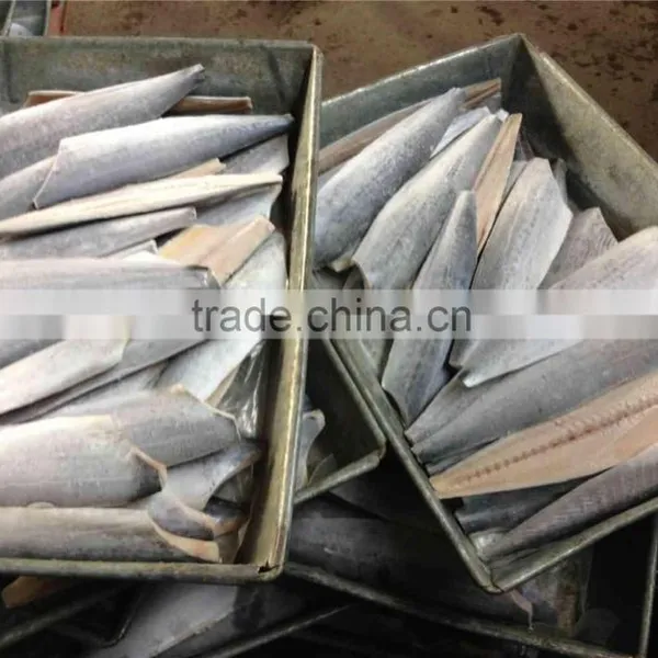 Bone off Frozen Spanish Mackerel Fillet and Scomberomorus Niphonius photo-6