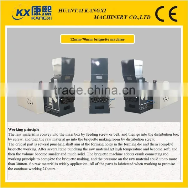 Biomass Briquetting Machine or Biomass or Wood Briquette Machine With CE photo-4