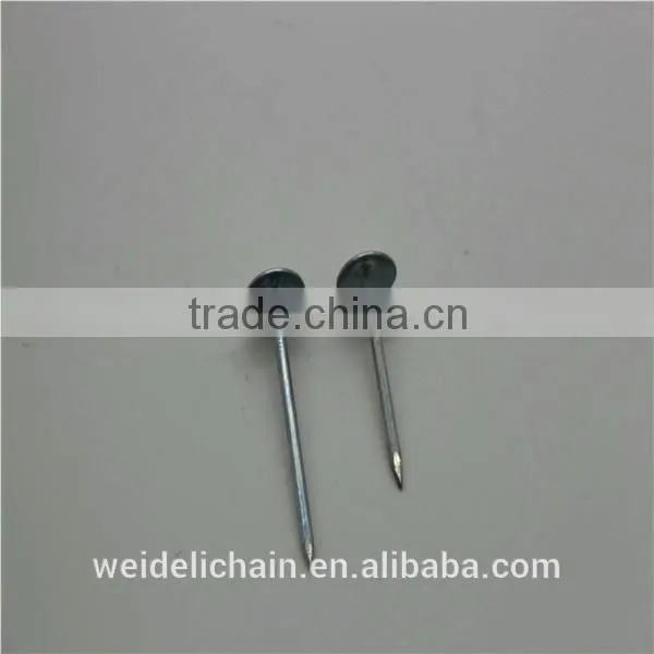 3''x9bwg Twisted Shank Roofing Nails/roofing Nail photo-2