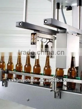 Automatic glass beer bottle filling line supplier in China