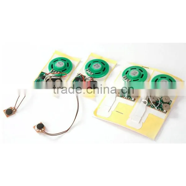 Customized Recordable Voice Recognition Chip With IC Chip photo-2