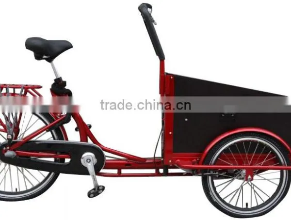 Electric Cargo Bike for Family Use photo-3
