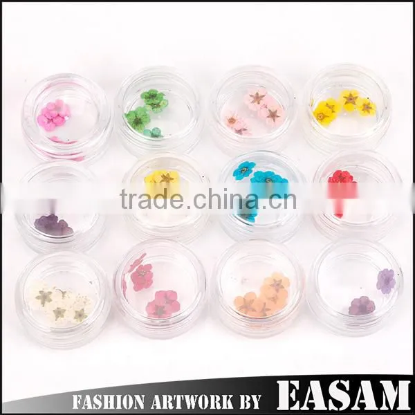 Wholesale Nail Art Dry Dried Flowers Decoration With Mix Different Colors Quality Choice