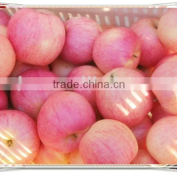 Qinguan Apples