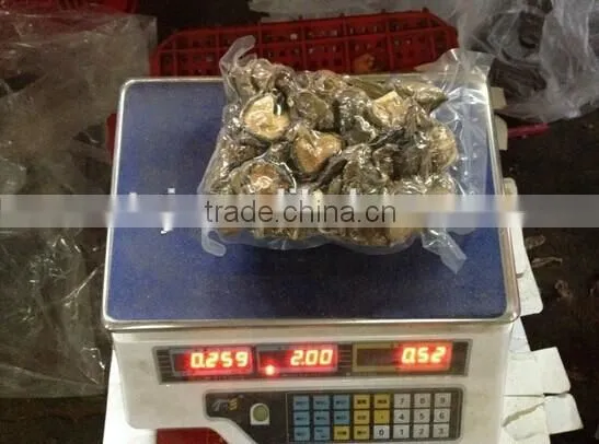Quality Shiitake Mushroom photo-2