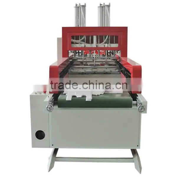 DL-R Series Two-line T-shirt Bag Making Machine photo-3