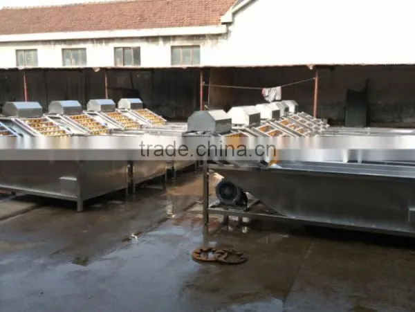 Video of SS304 Bubble Tomato Washing Machine and Washer Fruit/ Bulk Washing Machines