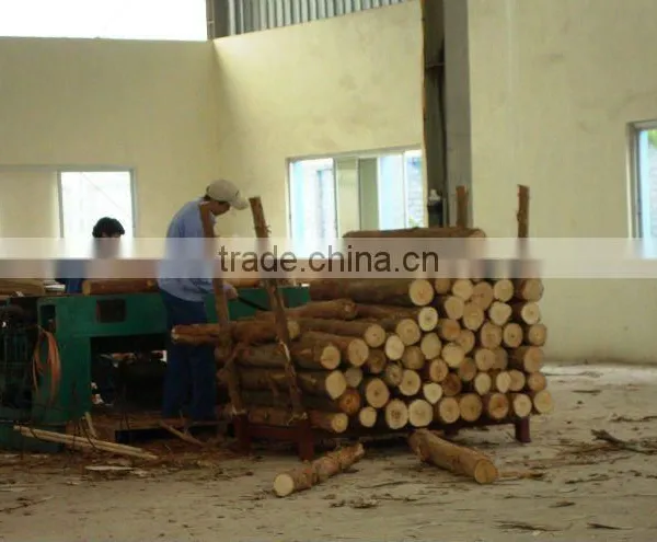 EUCALYPTUS CORE VENNER photo-3