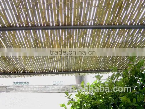 Bamboo Fence Wholesale photo-4