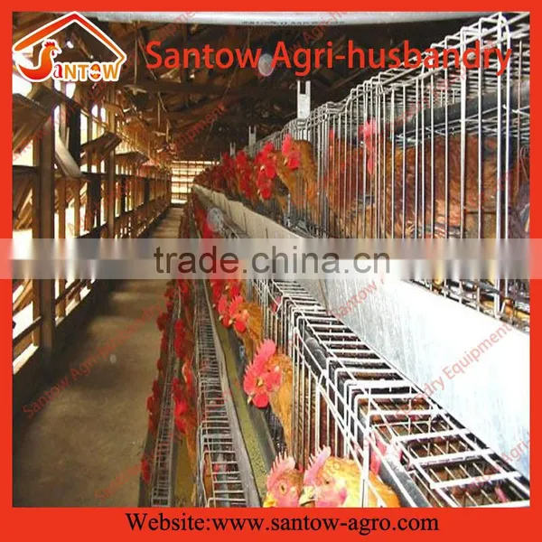 Automatic Chicken Egg Layer Cages Poultry Cage Chicken Layer Farm for Sale photo-4