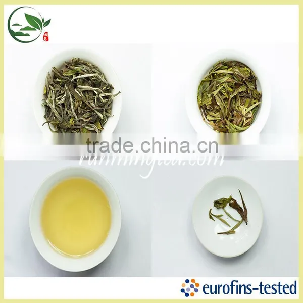 EU Standard Premium White Peony
